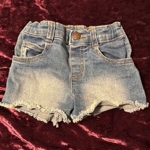 Garanimals Blue Casual Denim Shorts